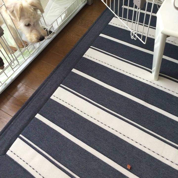 Ed0492dc 19b0 438d ae9c 32c898cb3eba