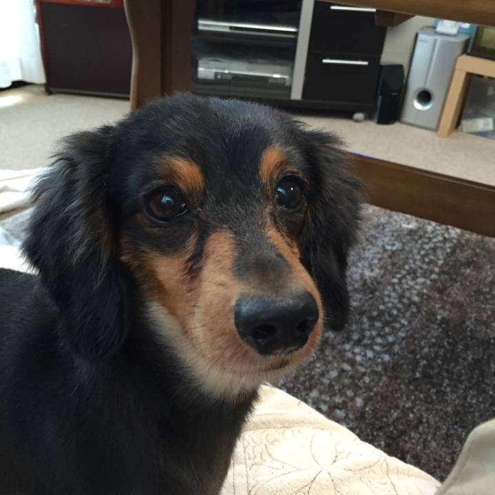 Ed04b4f7 b727 4188 99e7 efa59c3a39ca