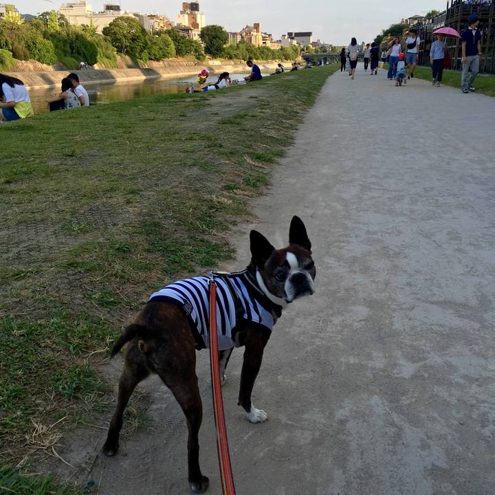 Ed04d9c1 9004 449f 9523 04324decfc09