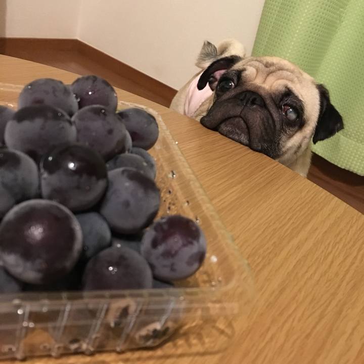 Ed050df0 c7fa 4f80 b990 93e6695e7163