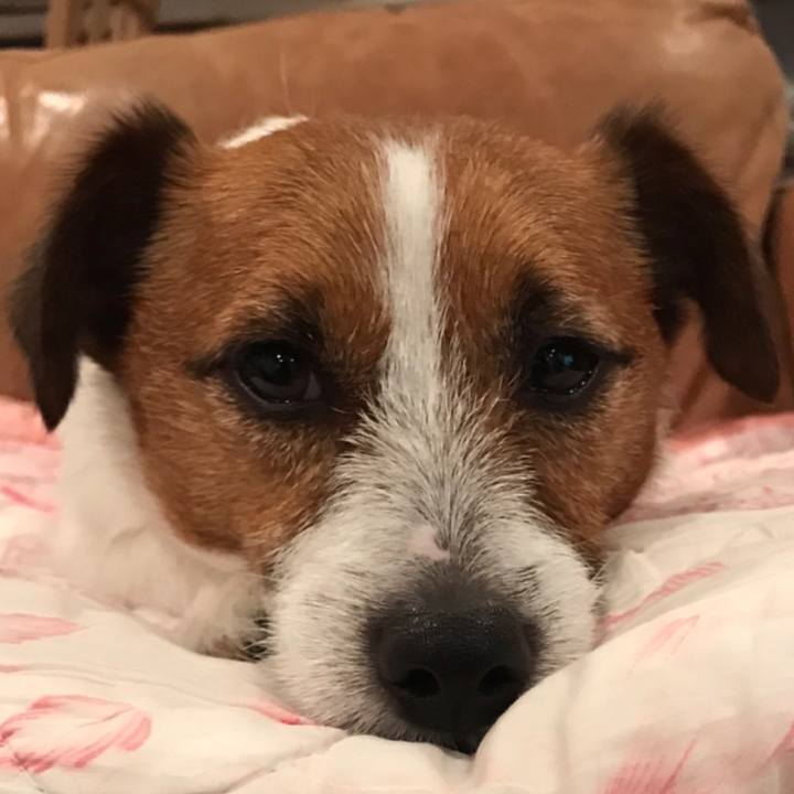 Ed0515a1 04d2 49d7 b66b 26c85839d9c6