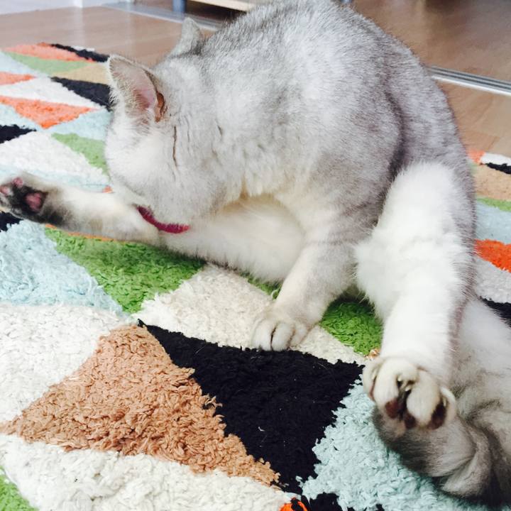 Ed05a30e 2acf 410d 9446 e0cb3e931c16