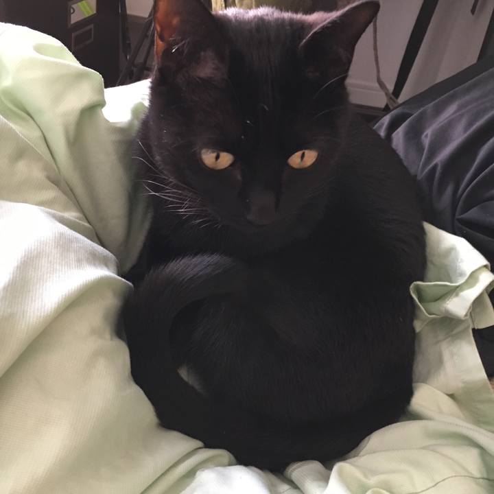 Ed05f5aa cadc 446a 9f0f c316bb21b57b