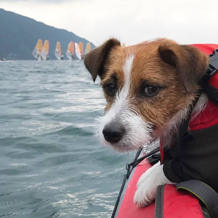 Ed064fc3 b6d7 47d5 a640 b4e13fd9fb4a