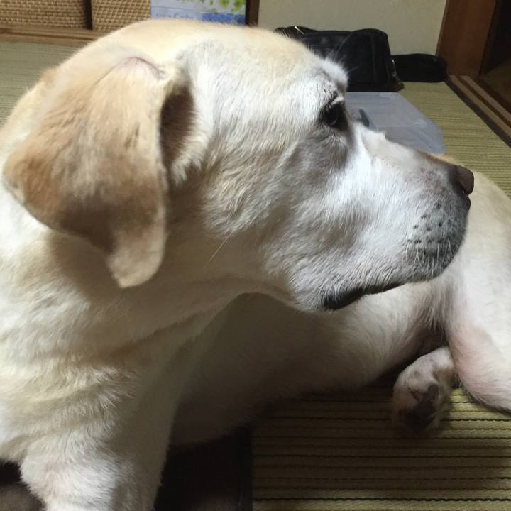 Ed07f5c0 e8aa 49c1 adba 0c7438ea1ceb