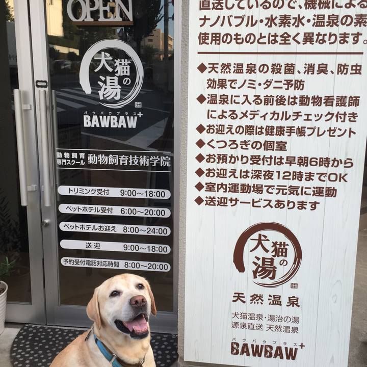 Ed0853bf 5976 4f98 8cd9 d208c6357cb2