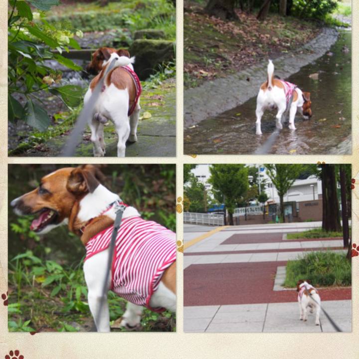 Ed08ac07 175a 48c2 8c2a 1c4c40b8525e