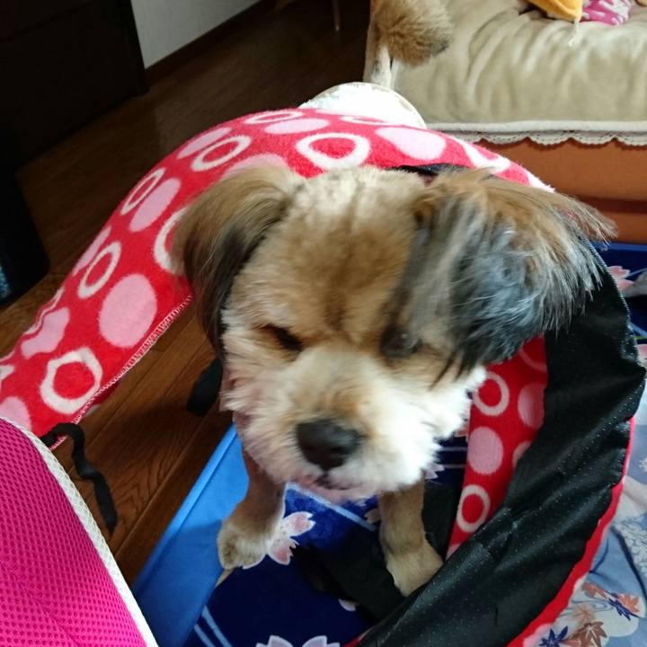 Ed0a777f a21d 44be 9b3b 0e8f5b105823