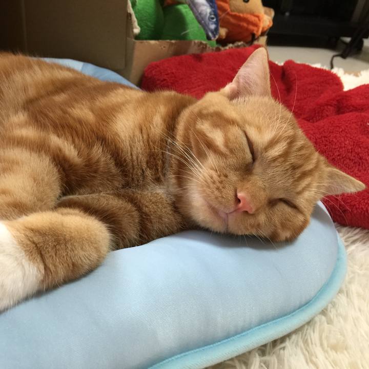 Ed0a831f 0281 46d4 9036 439f8bc05dfc