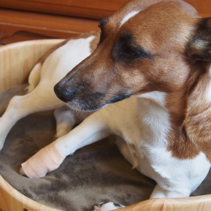 Ed0aba6a 963d 4516 973a e4fc194fd80f