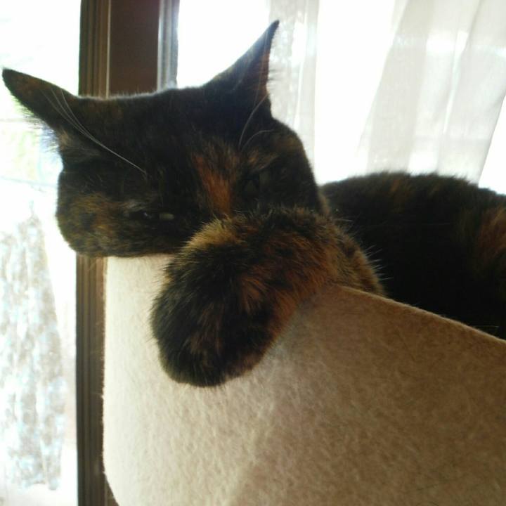 Ed0b6568 abbe 41e5 ae48 9d5e7b836dc8