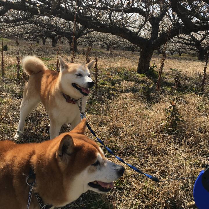 Ed0c0796 8df1 45fc af05 7043ff29054e