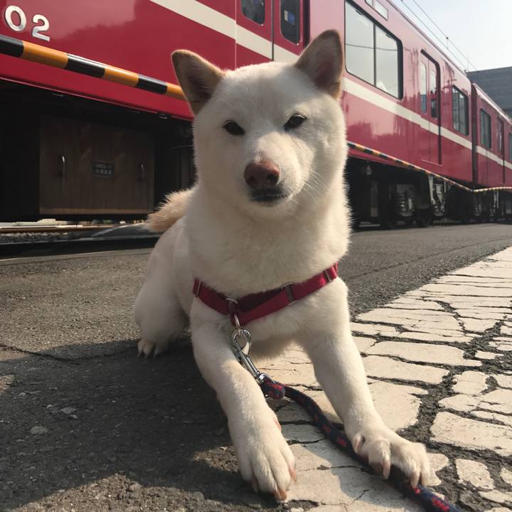 Ed0c0cdb 831c 4ed3 90da c214dfc7edee