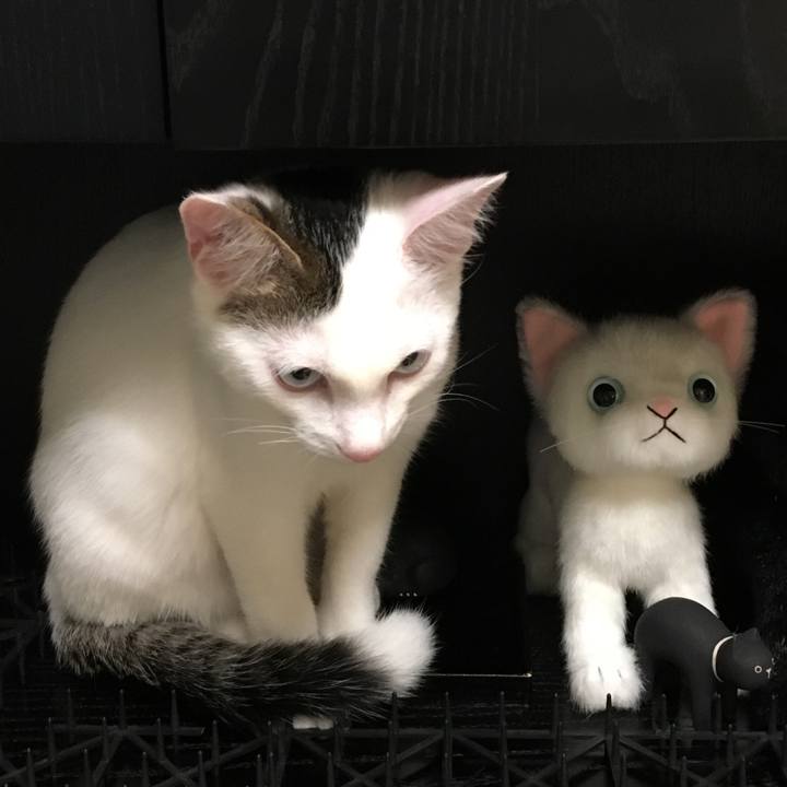 Ed0c75eb 4cce 4a7c 822c 444576c06bb7