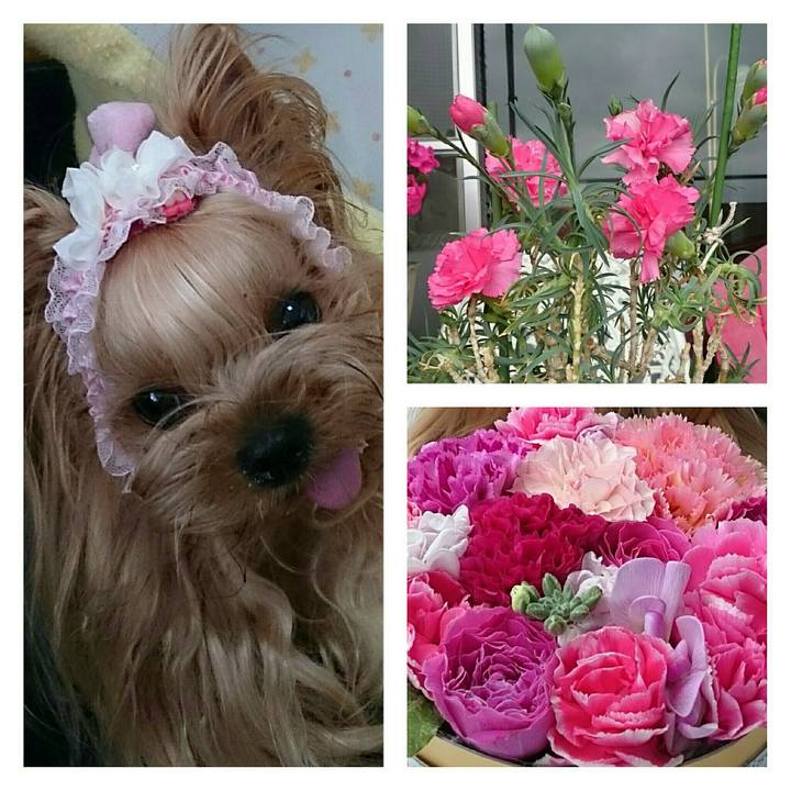 Ed0ce69b 07d6 4091 b715 1ca24e73f76d