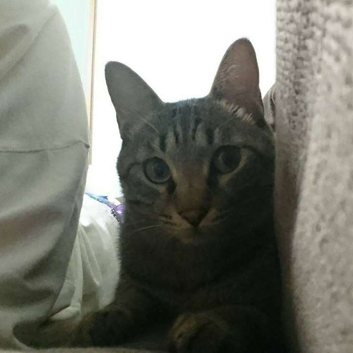 Ed0d0752 da9b 4977 a781 26d31d9b9332