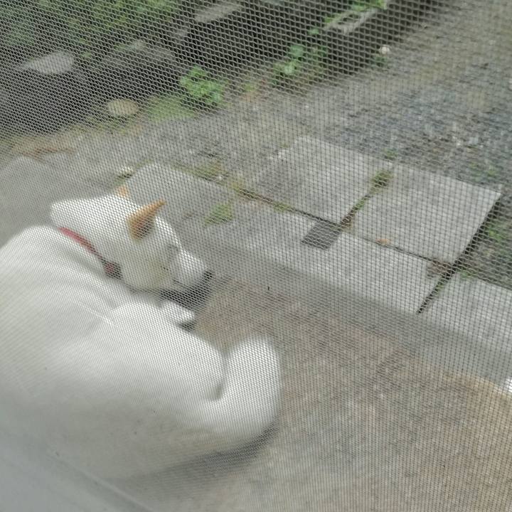 Ed0d1789 681b 49d0 8cf7 067a9529e7c0