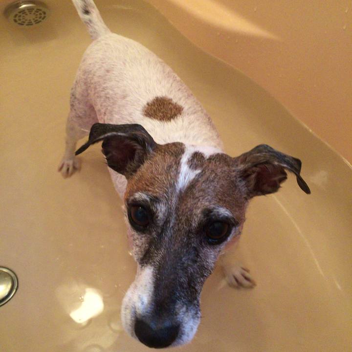 Ed0d5021 8265 4e23 964f 3f3f3e406694