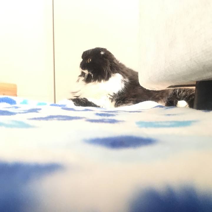 Ed0d7f94 a817 4af7 a1ef d9222f2ca639