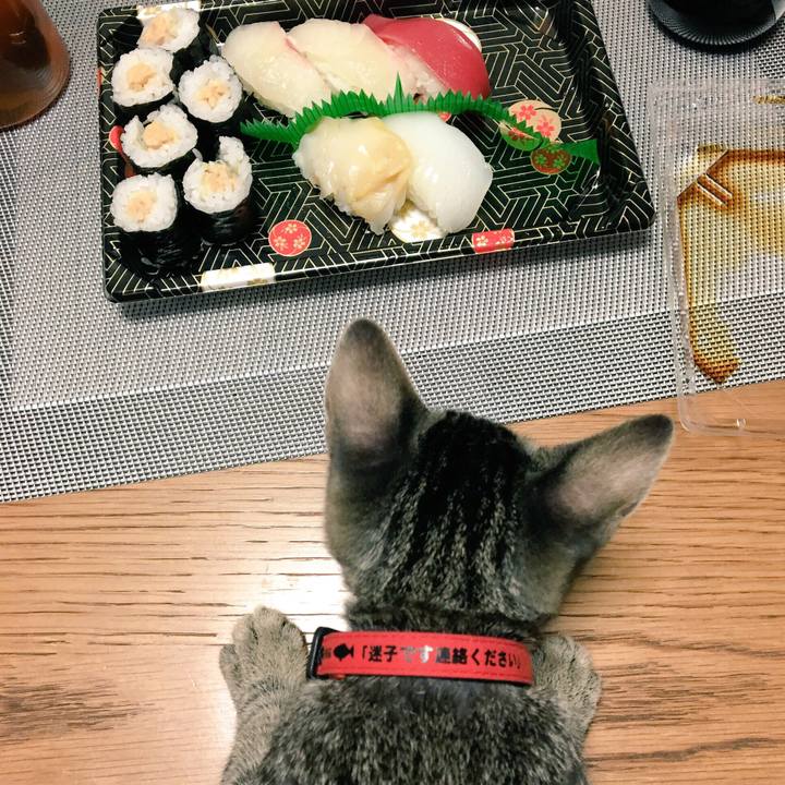 Ed0d9fdd 36af 4b0a b90f d5bce1dddd4c