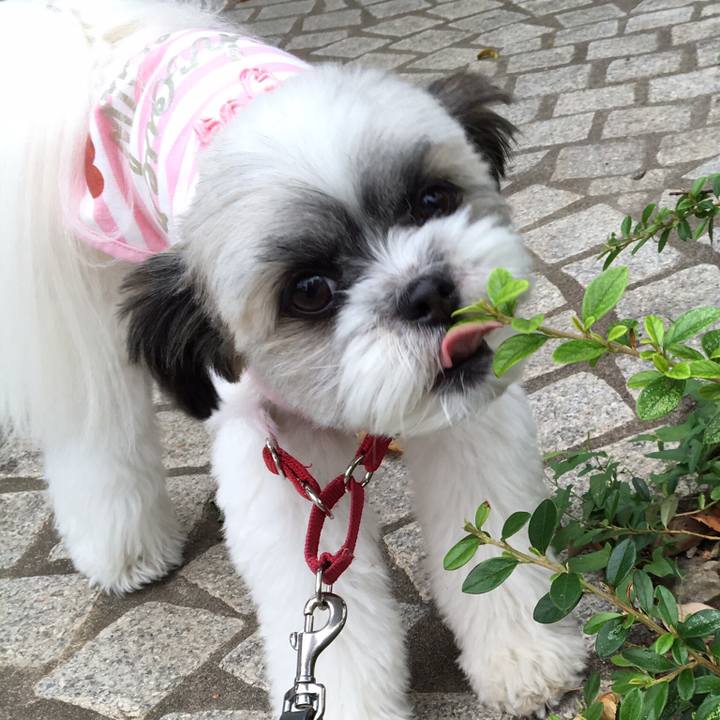 Ed0dd76d 54b8 4269 b102 3458735fde2d