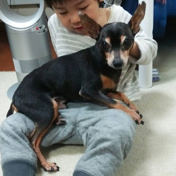 Ed0de015 3baf 43d0 81a2 b6280b37eace