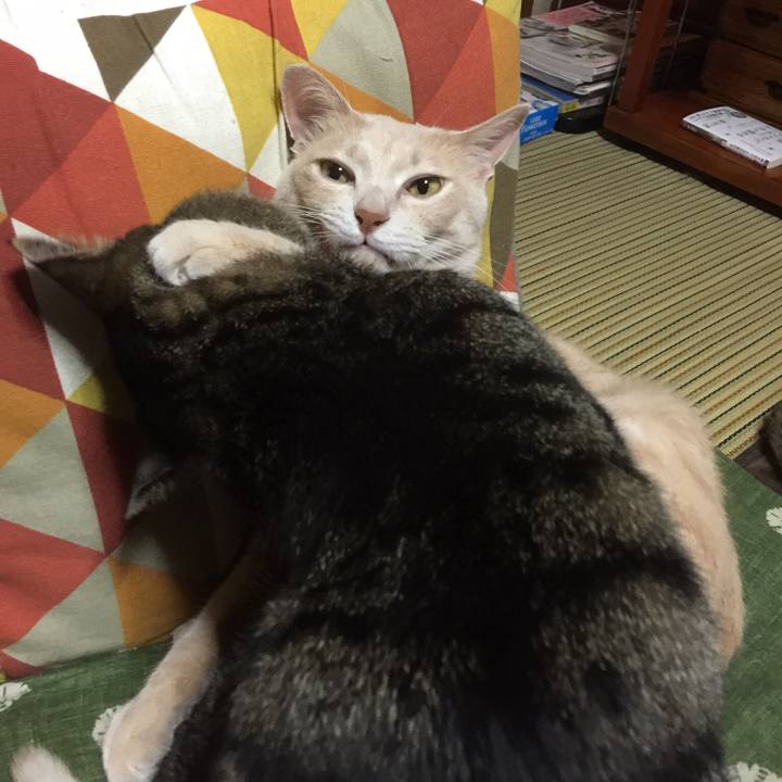 Ed0e5c65 0c9a 4a2f b51b 566f64b6fba9