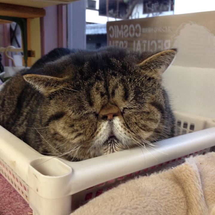 Ed0eee1d 9337 4171 a95f c93d36a5d3bc