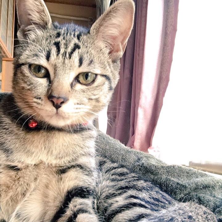 Ed0f5cb4 2a6c 478c ac55 510384e527d7