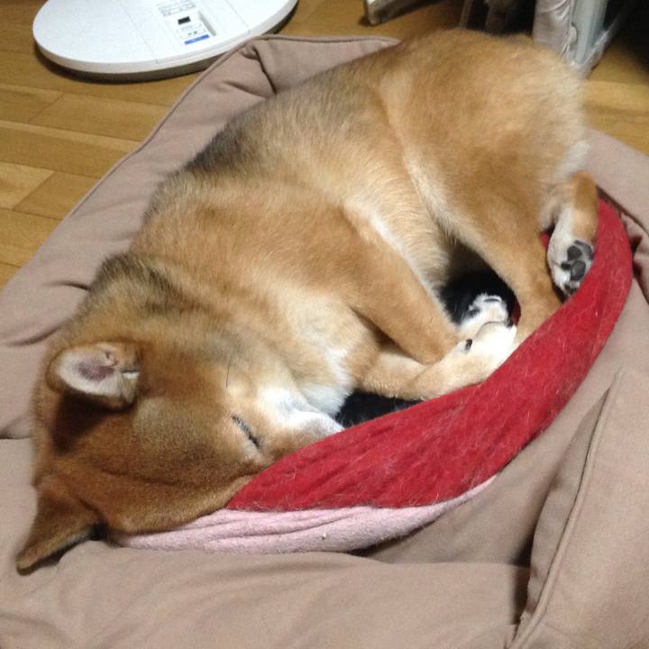 Ed0f6ef0 c85f 487b a055 8bd0f8be5601