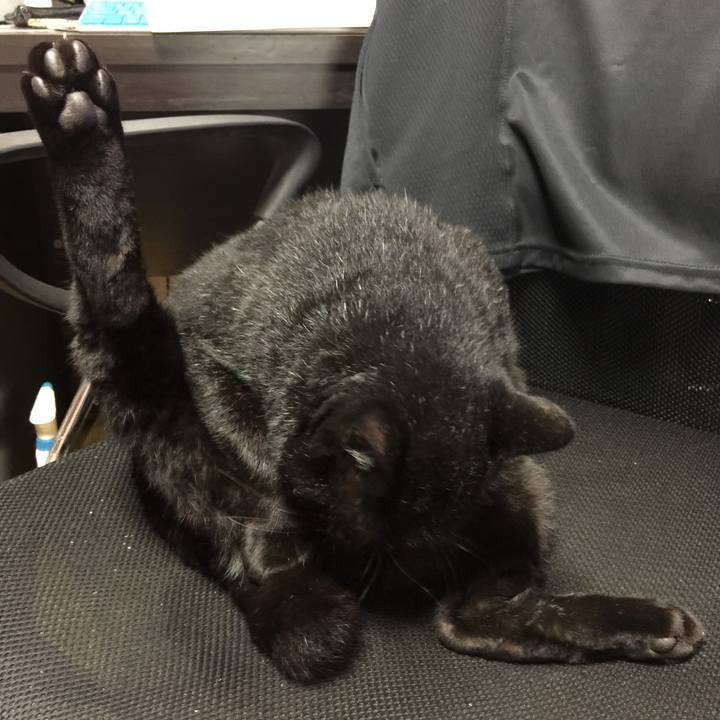 Ed0fbbce 4bcf 434d b449 e00d96cfb849