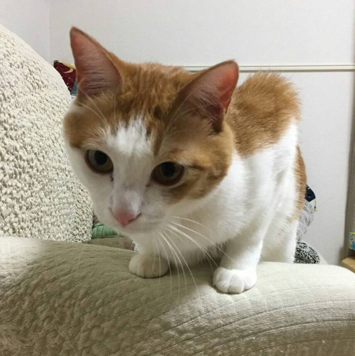 Ed1000c9 66b9 4a08 ae8d db6ea2ddcb70