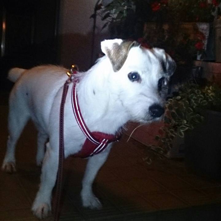 Ed101d45 8626 4376 97d3 d0562a2b32f4