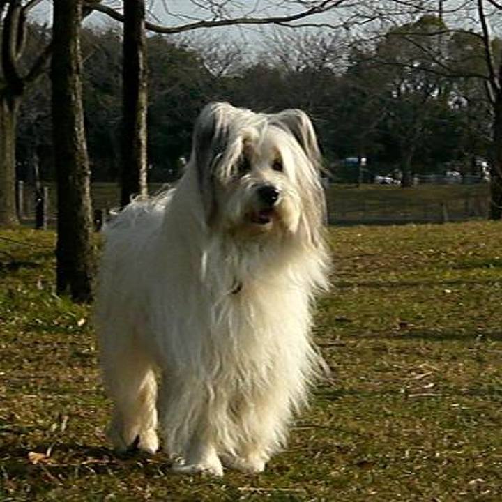 Ed102d97 a489 4554 8811 a9a438e1ebd0