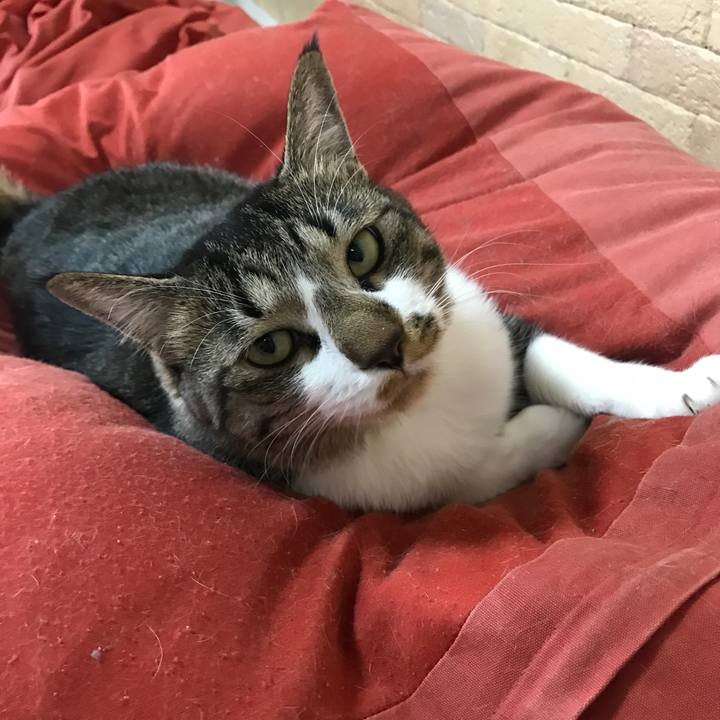 Ed106b65 2e9a 4140 ae20 3fb825d942ee