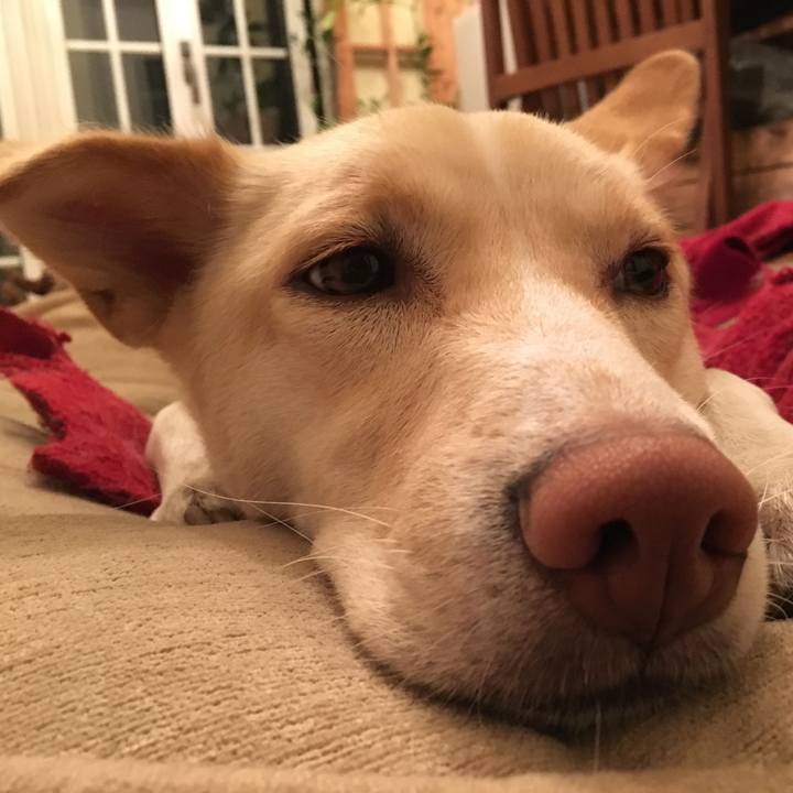 Ed112276 2562 4a38 b4cb cd9690603fa9