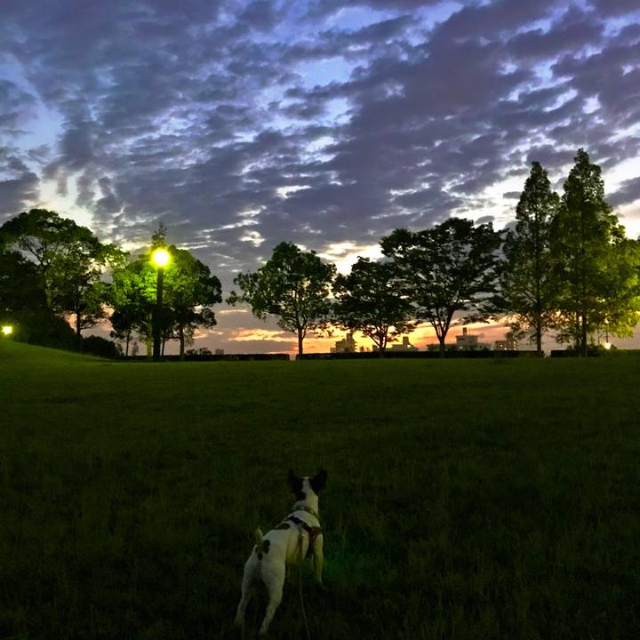 Ed115cd4 0e30 431f 91c1 f8305fe18e9b