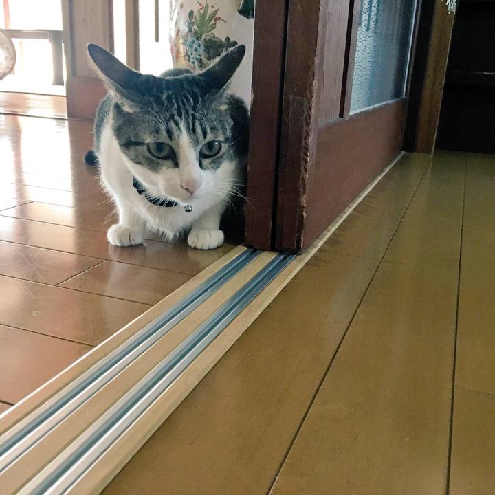 Ed118a0a 15b9 4056 8062 ccefbde6e1ed