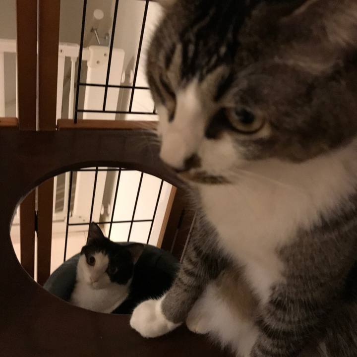 Ed126393 2809 41e0 8ed4 c702b8b66eec