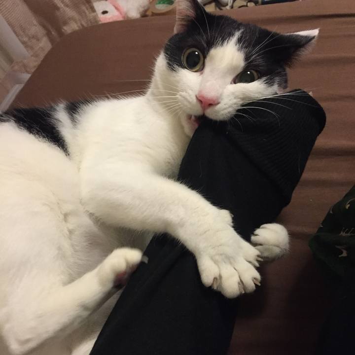 Ed128dcf 75c4 4ba5 b284 8bcff1524118