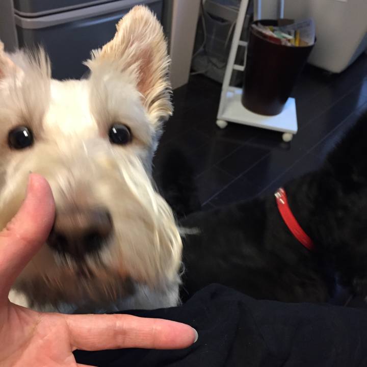 Ed135bbd fcef 4f7d 97d7 be38a3c6e11d