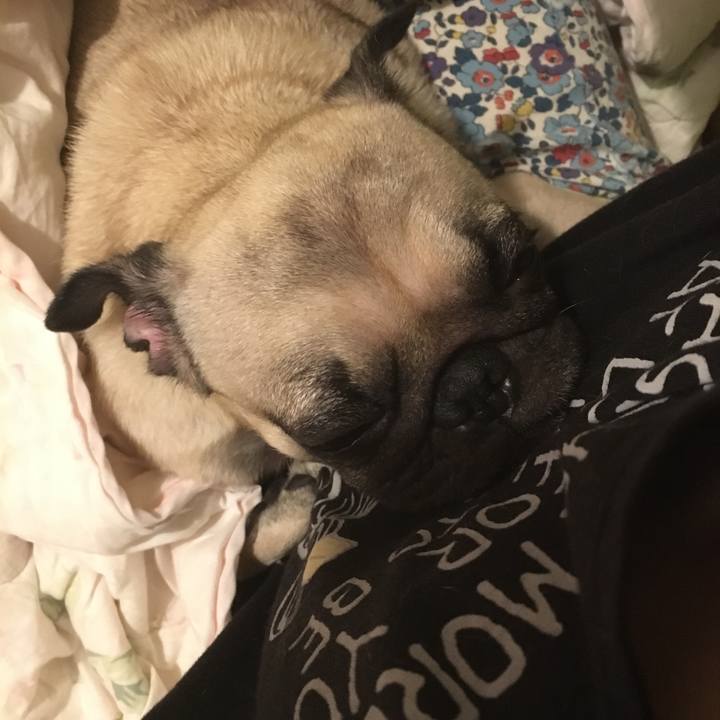 Ed13788d 25c9 4343 9f95 bdeecab5d3a2