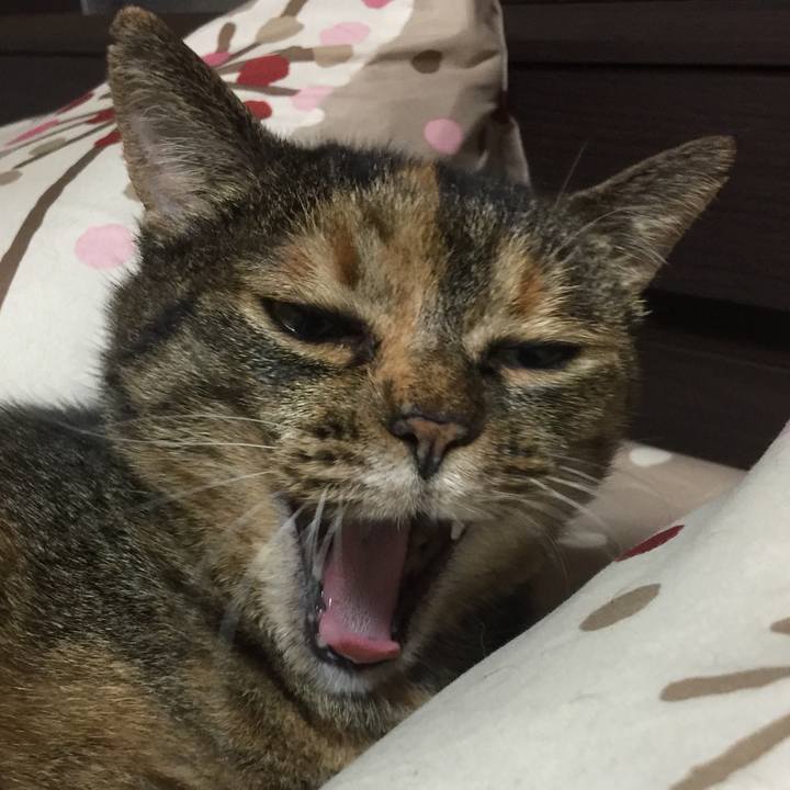 Ed143cdd 93d0 47a0 b5d8 967fb50ef13c