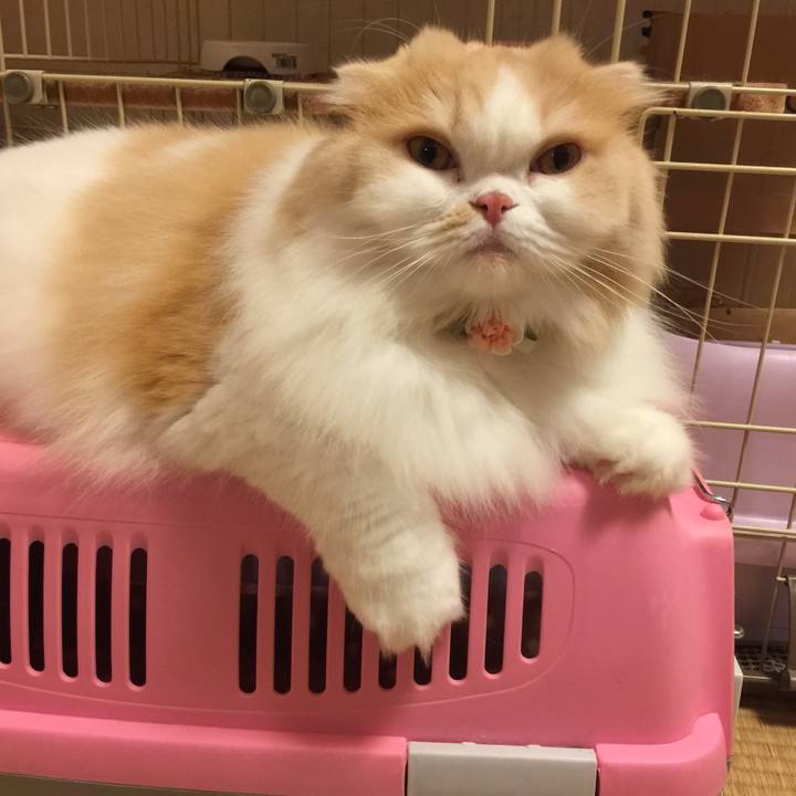 Ed154161 8a11 4149 bacb 56eb7d30f552