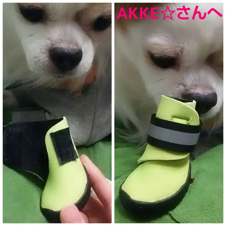 Ed15a4b5 bcf2 4b90 86ac 6dad81395983