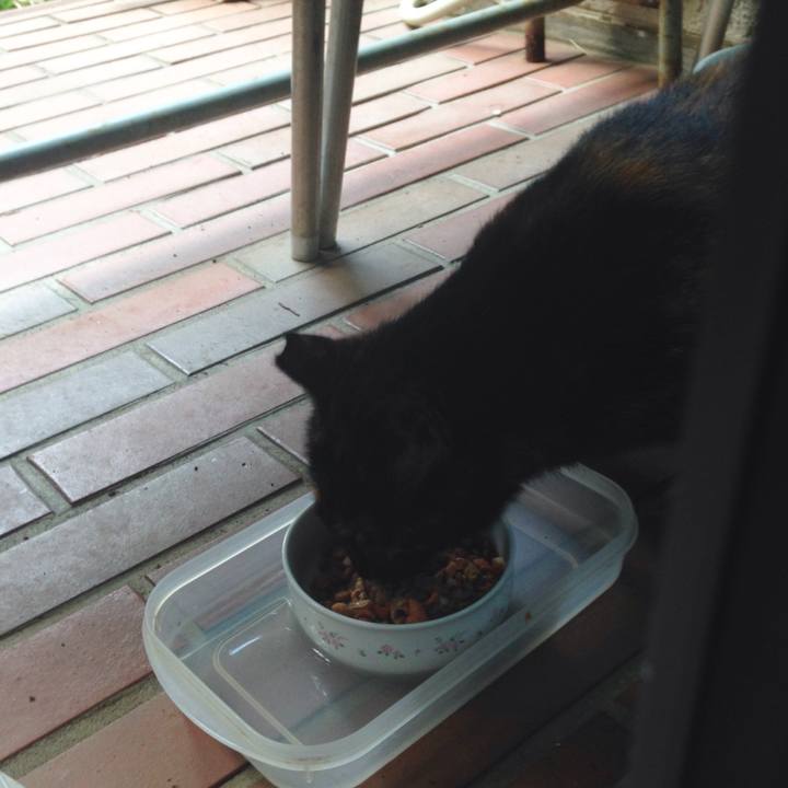 Ed15dbfb e81f 454b b7b4 e52d560d99a2