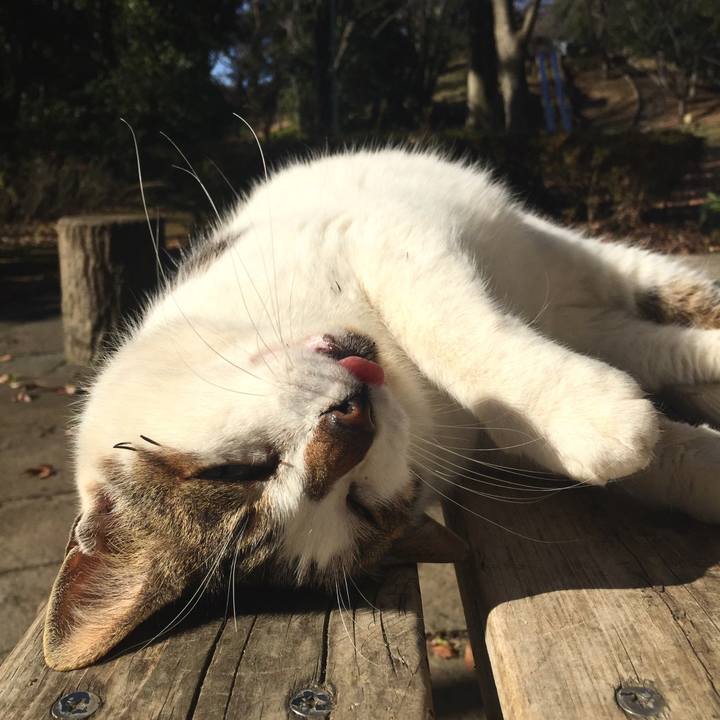 Ed164905 7c74 4807 b1c0 3a3573ffc1dd