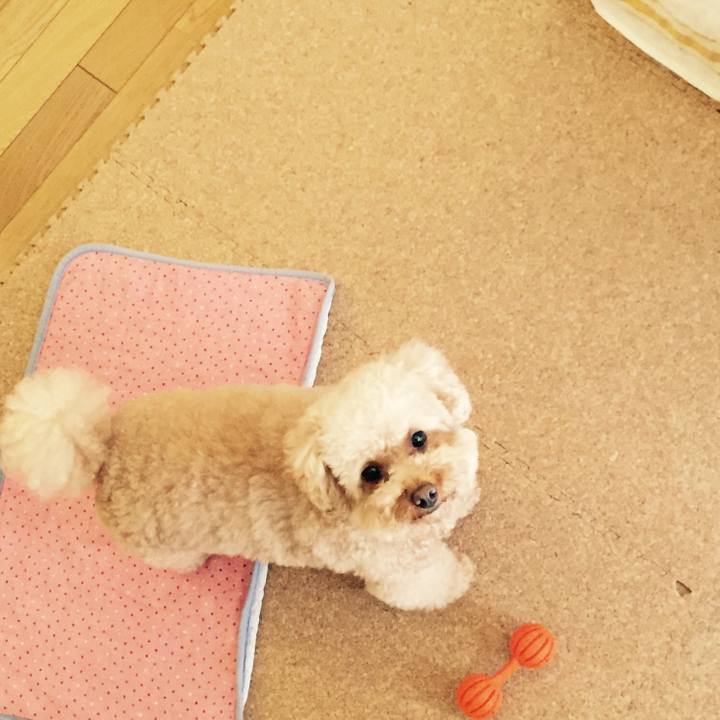 Ed16cddc 1e84 41b3 bbd3 3f75981efda0