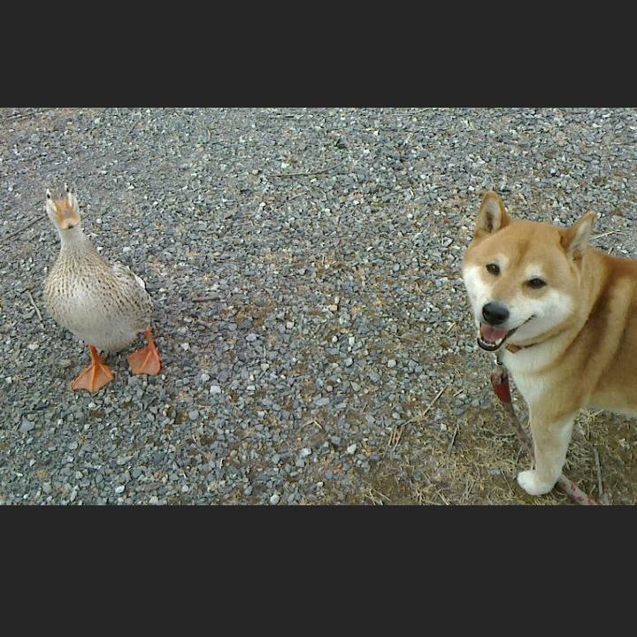 Ed17097f c1c1 4a86 9950 9c0695602b00