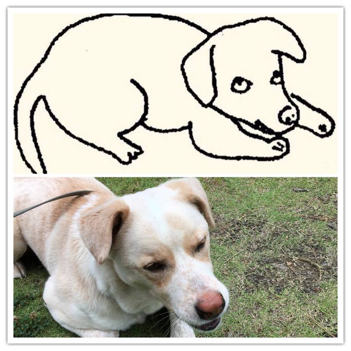 Ed172ab4 a360 42e4 a83b 9b8cee455db0